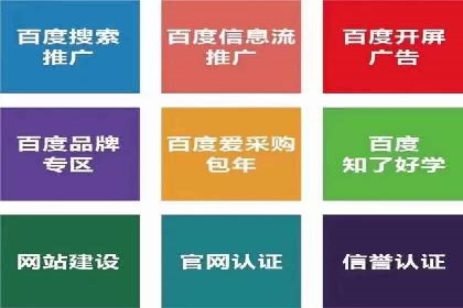 某公司通过SEM运营提升品牌知名度的实践